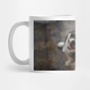 Little dog chihuahua Mug